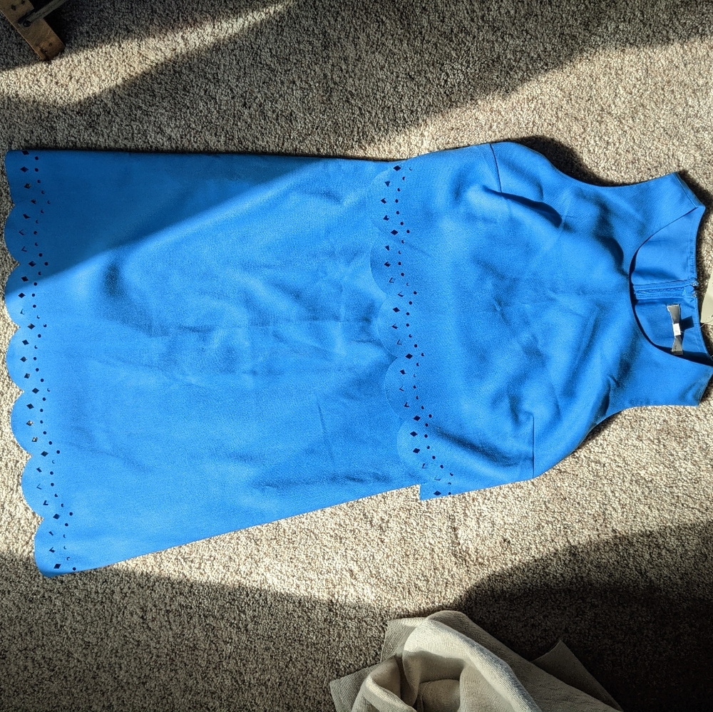 Ann Taylor Loft blue dress